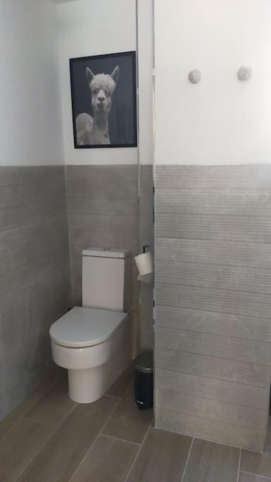 Apartamento Laurana Santander Esterno foto